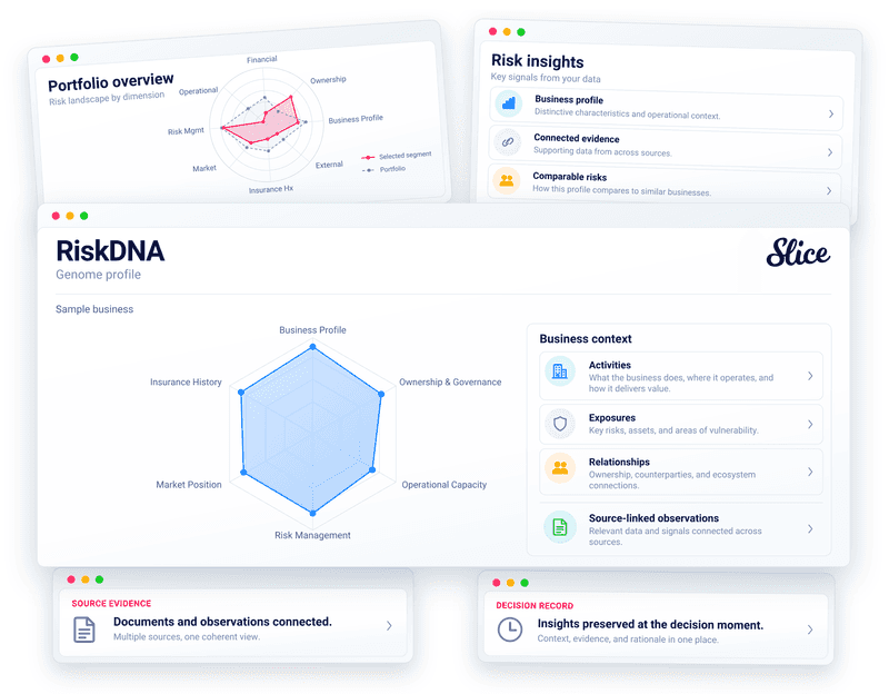 Illustrative RiskDNA genome profile with a radar chart, business context, source evidence and a decision record.